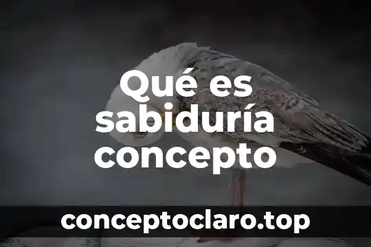 Qué es sabiduría concepto