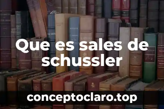 Que es sales de schussler