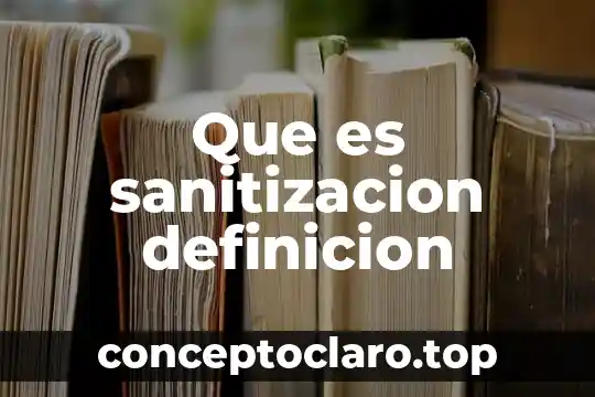 Que es sanitizacion definicion