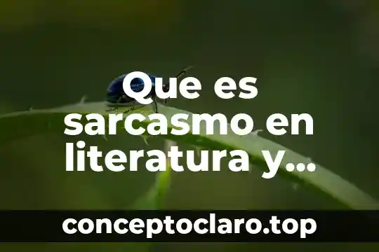 Qué es un humanware y ejemplos 8 Que es sarcasmo en literatura y ejemplos