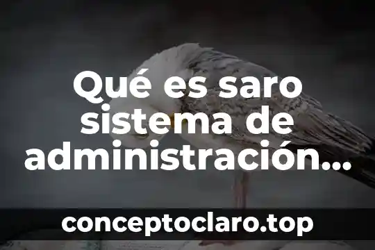 Qué es saro sistema de administración de riesgo operativo