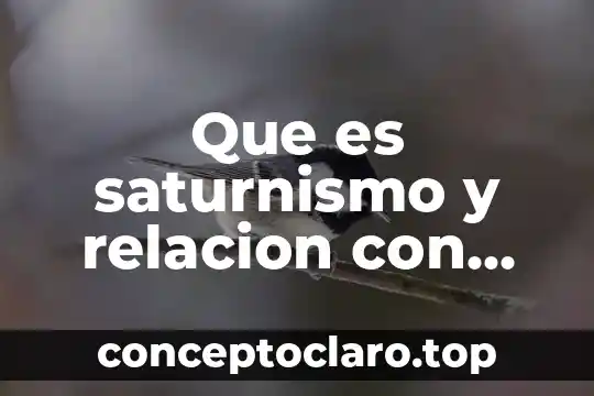 Que es saturnismo y relacion con miastenia