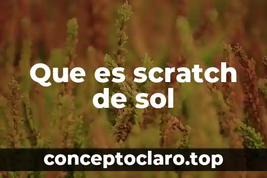 Que es scratch de sol
