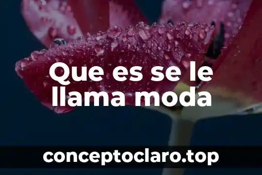 Que es se le llama moda