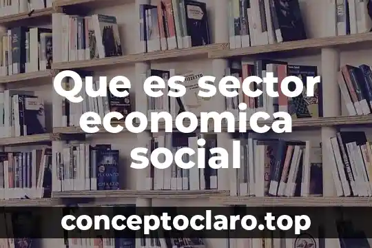 Qué es globalización económica definición 5 Que es sector economica social