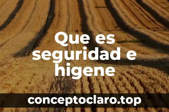Qué es un candado de seguridad 5 Que es seguridad e higene