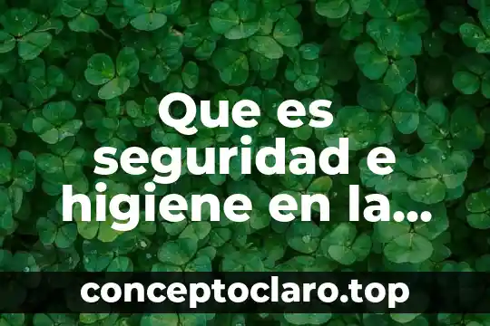 Qué es higiene del medio ambiente 3 Que es seguridad e higiene en la construccion