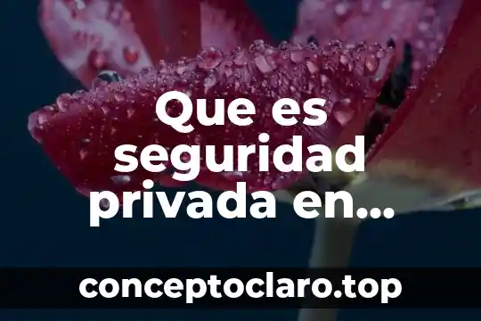 Que es contabilidad publica y privada 6 Que es seguridad privada en vigilancia