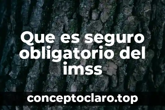 Que es la prima del seguro de gastos medicos 5 Que es seguro obligatorio del imss