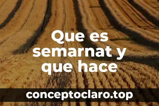 Que es un registro anectodico y como se hace 7 Que es semarnat y que hace