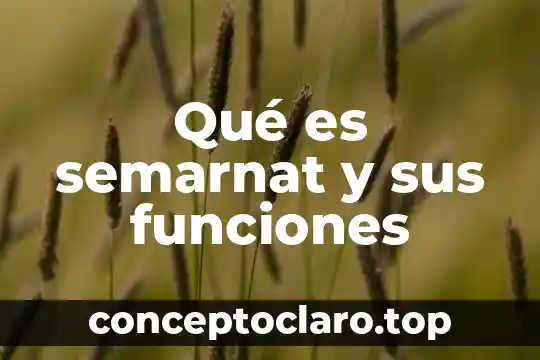 Qué es psicopedagogía y sus funciones 3 Qué es semarnat y sus funciones