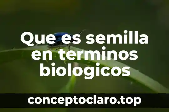 Que es semilla en terminos biologicos