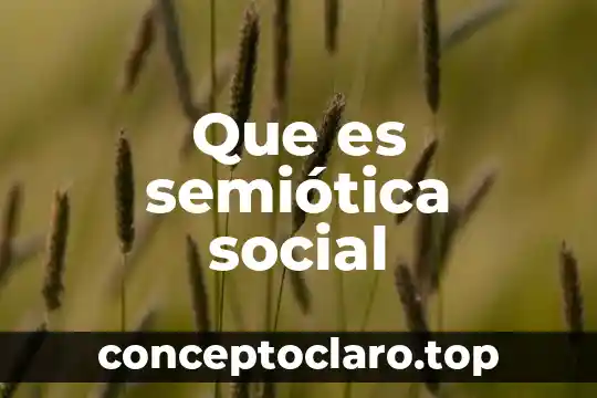Que es semiótica social