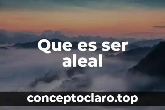 Que es ser modelo de protocolo 8 Que es ser aleal