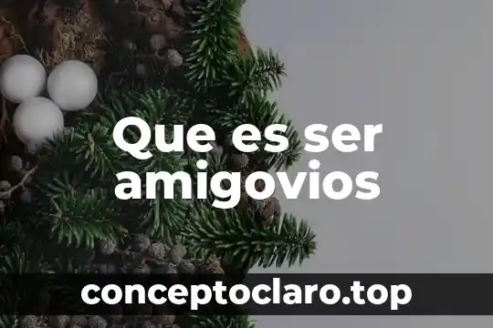 Que es ser amigovios