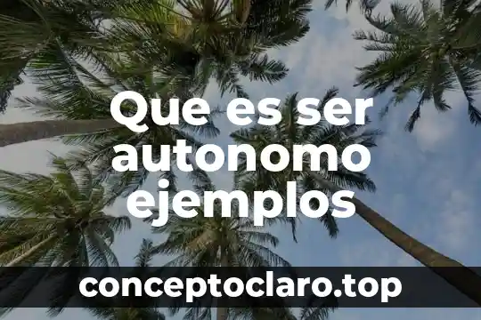 Que es ser autonomo ejemplos