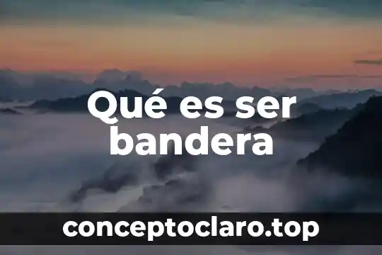 Qué es ser bandera