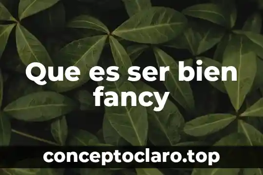 Que es ser bien fancy