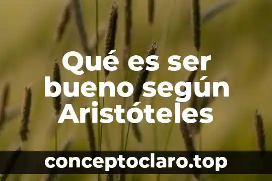 Qué es ser bueno según Aristóteles