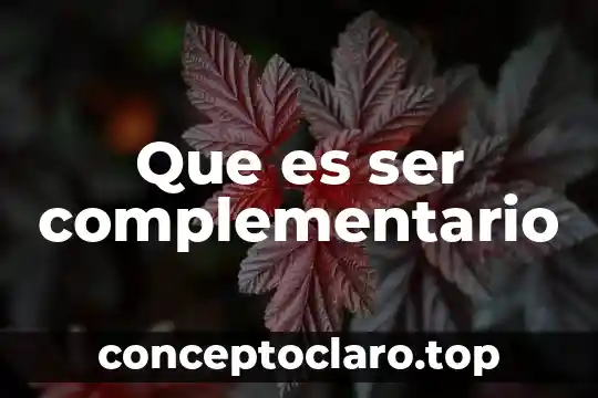 Que es ser complementario