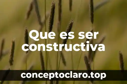 Que es el concepto z2 6 Que es ser constructiva