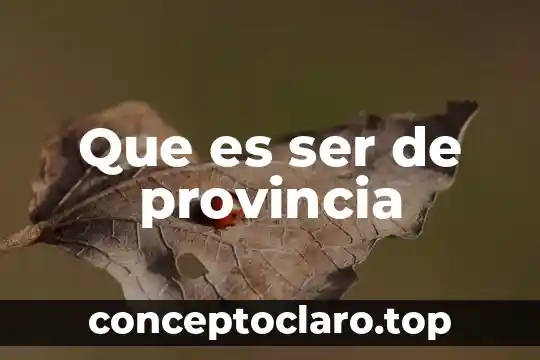 Por que es bueno ser hombre 3 Que es ser de provincia