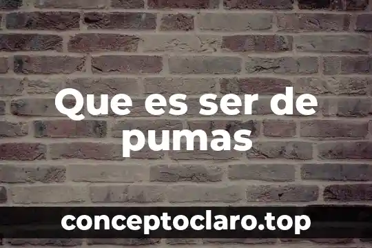Qué es un dramaturgo y ejemplos 3 Que es ser de pumas