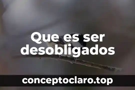 Que es ser un finder 5 Que es ser desobligados