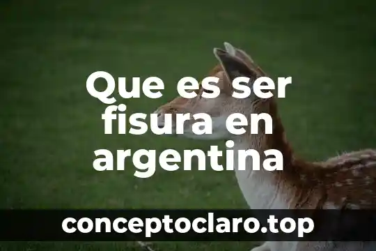 Que es ser autodisciplinado 3 Que es ser fisura en argentina
