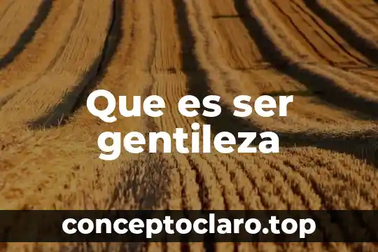 Que es ser gentileza