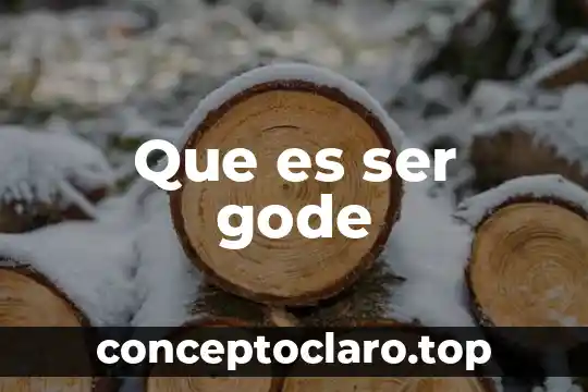 Que es ser gode