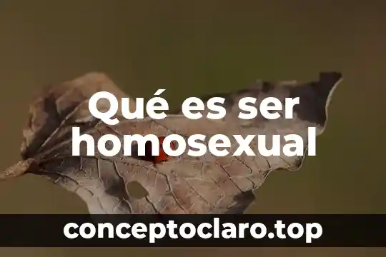 Qué es ser homosexual