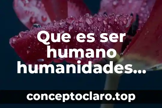 Que es ser humano humanidades sociales
