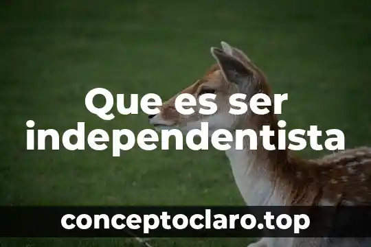Que es ser modelo de protocolo 6 Que es ser independentista