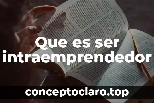 Que es ser de provincia 6 Que es ser intraemprendedor