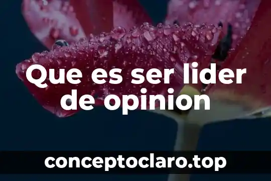 Que es ser lider de opinion