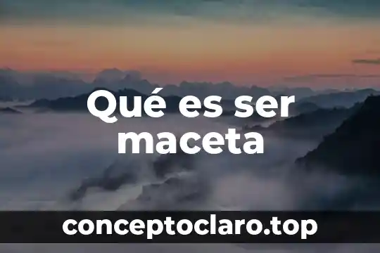 Qué es ser maceta
