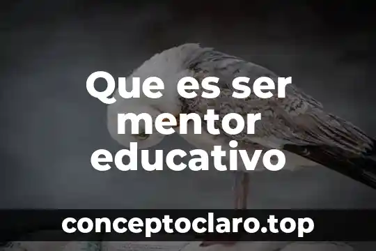 Que es ser orgulloso en una relación 7 Que es ser mentor educativo