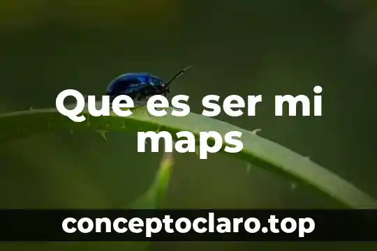 Que es ser mi maps