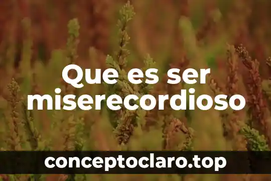 Que es ser miserecordioso