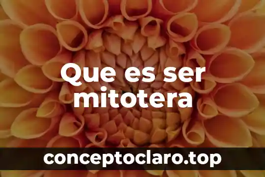 Que es ser mitotera