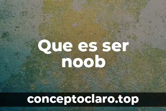 Que es ser noob