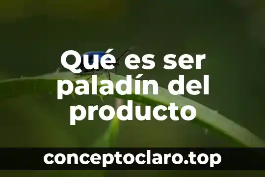 Qué es ser paladín del producto