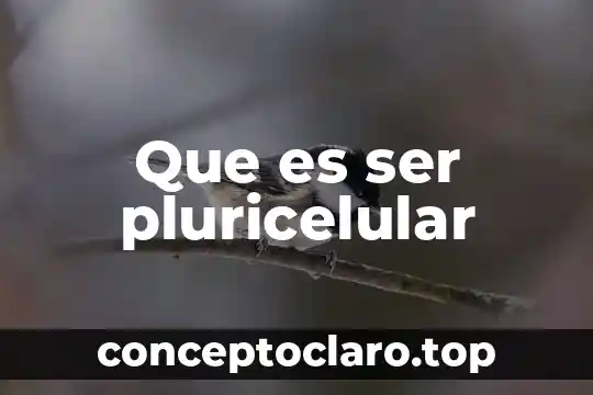 Que es ser pluricelular