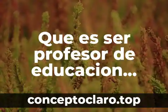 Que es ser profesor de educacion primaria