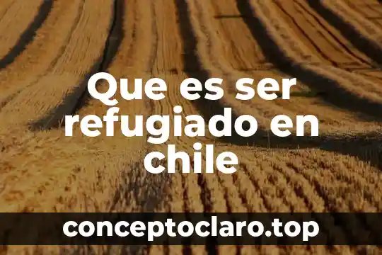 Que es ser mateo en chile 6 Que es ser refugiado en chile