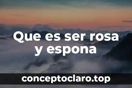 Que es ser rosa y espona