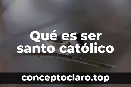 Qué es ser santo católico