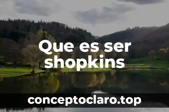 Que es ser shopkins