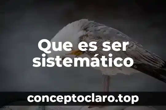 Que es ser sistemático